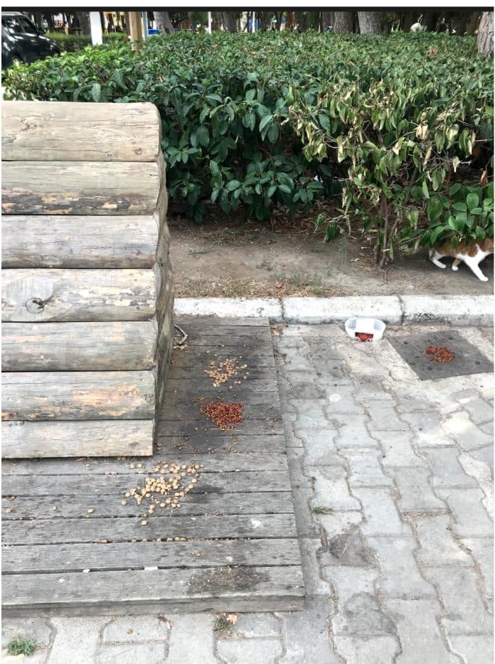 Field research - feeding station